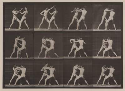 Tafel Nummer 340. Boxen; offene Hand (Schuhe), 1887 von Eadweard Muybridge